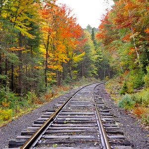 Adirondack Rail & Sail